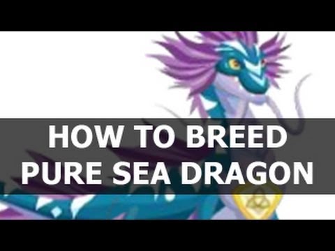 How To Breed Pure Sea Dragon In Dragon City On Facebook