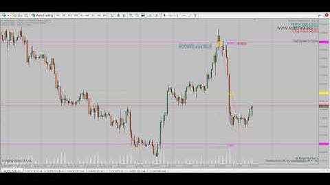 Trailing Stop EA trading examples