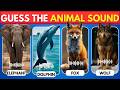 Animal Sound Challenge | How Many Can You Get Right?