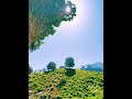 #short #shortvideo Kalam Nature Video In slowMo #kalamvally #kalam