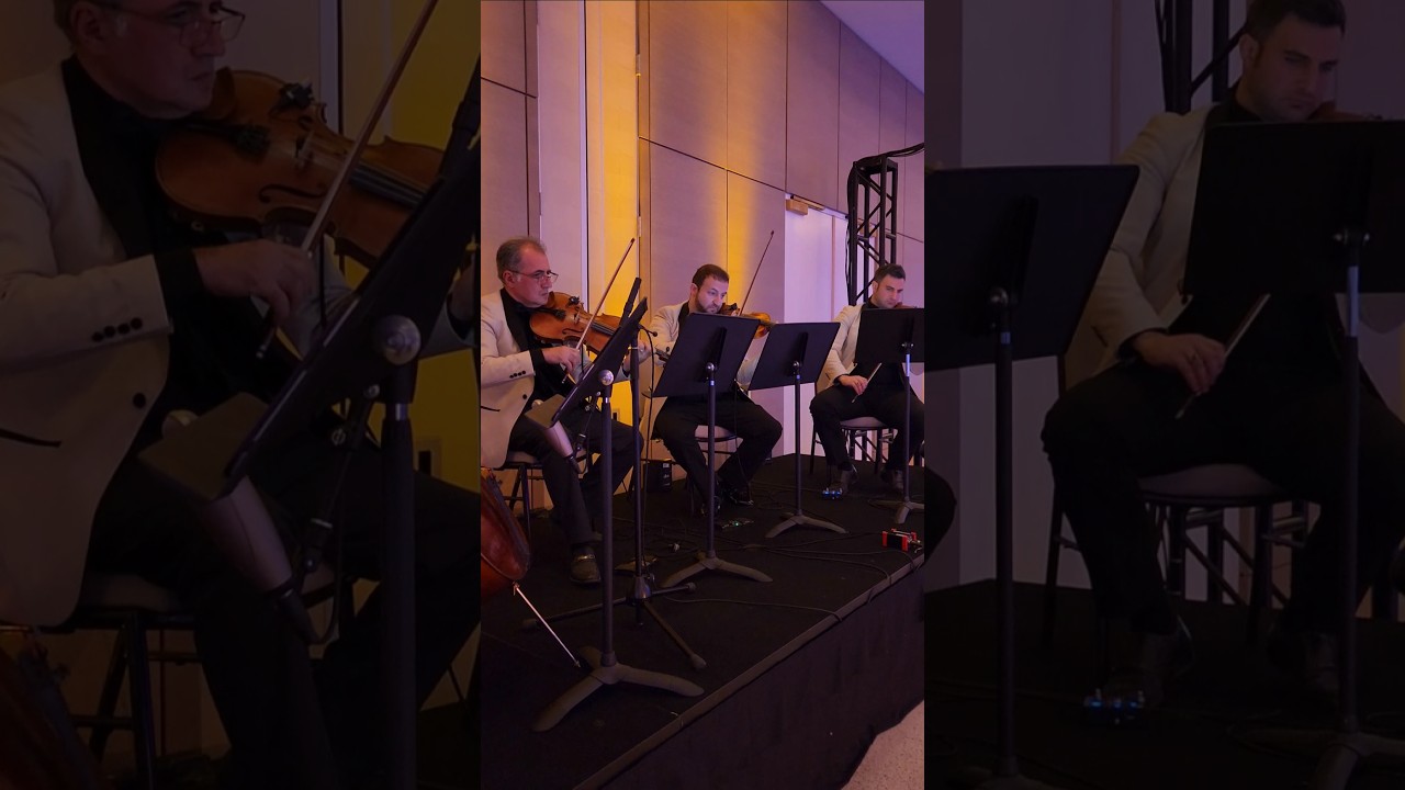 Human (The Killers) - Enchanted Strings - String Quartet in Anaheim