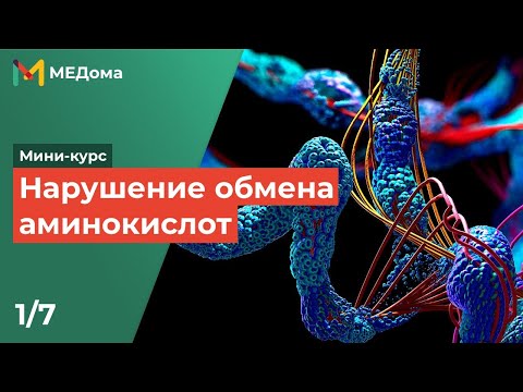 Обмен аминокислот - фенилкетонурия и другие нарушения обмена веществ цикла Кребса / USMLE step 1