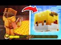 FISHING from 0 to GOLDEN DRAGON PET (hypixel skyblock) [4]