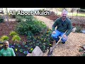 4 Different Mulches in One Garden!