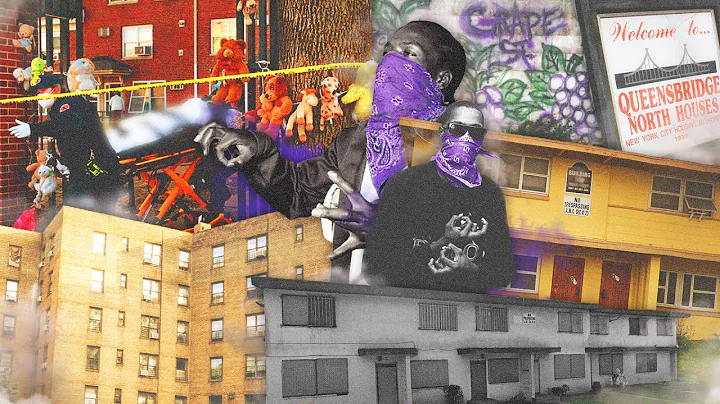 Part 2 "Most Infamous" Public Housing Projects in American History (Documentary) Crime | Hoods