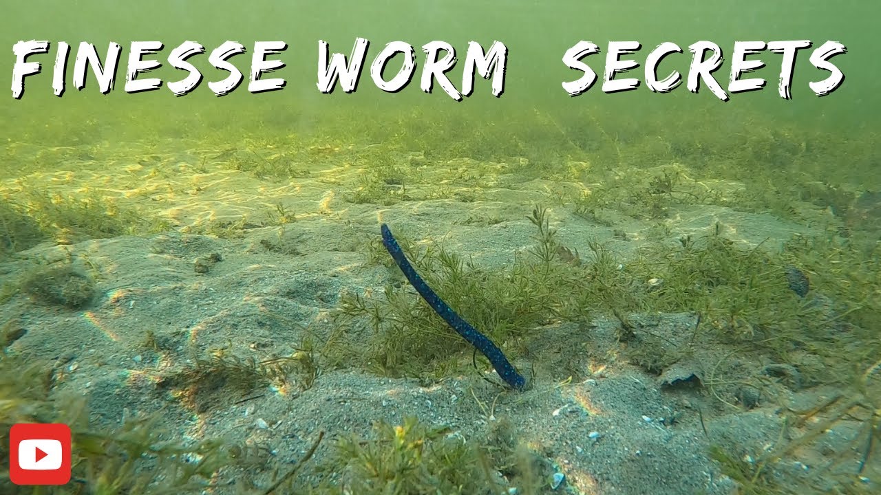 Finesse worm bass fishing . Insane underwater footage ! 