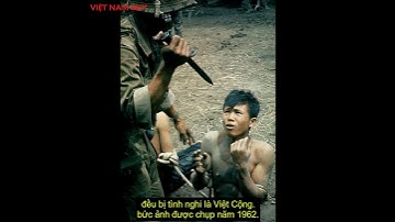 Tội ác chiến tranh #shorts