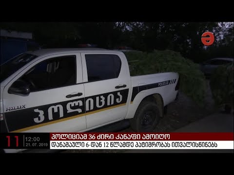 ბაღდათის პოლიციამ კერძო პირის ნაკვეთიდან 36 ძირი კანაფი ამოიღო