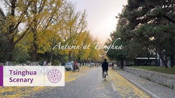 Autumn at Tsinghua