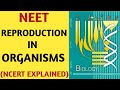 Reproduction In Organisms/Class 12/NCERT/Chapter 01/Quick Revision Series/NEET/AIIMS/JIPMER