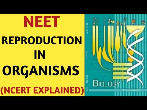 Reproduction In Organisms/Class 12/NCERT/Chapter 01/Quick Revision Series/NEET/AIIMS/JIPMER