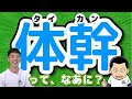 【徹底解説】体幹とは？その効果とは？