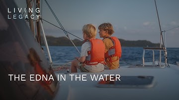 The eDNA in the water | Living Legacy | BBC StoryWorks