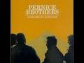 Pernice Brothers - Monkey Suit
