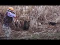 Anadolu&#39;nun Güneyinde Muhteşem bir Domuz avı  / wild boar hunting
