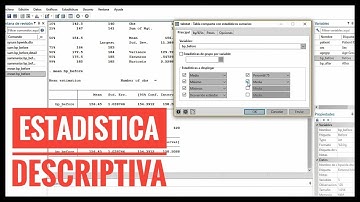 ESTADÍSTICA DESCRIPTIVA en 5 MINUTOS | Minicurso STATA #1