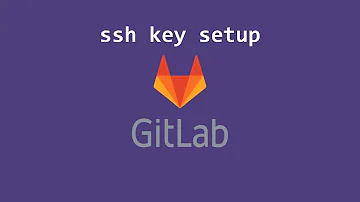 Como configurar o GitLab no Windows?