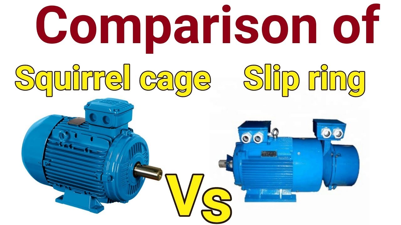 Squirrel Cage Induction Machine: A Comprehensive Guide - Grand