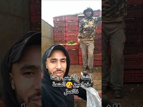 المتعه في العمل هكذا تكون متعه السفر المتعة النشاط ضحك Fypage Funny Fypシ Viral Freefire 