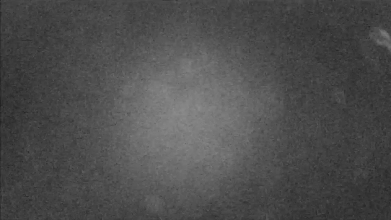 Lssu aquatic research lab live stream youtube