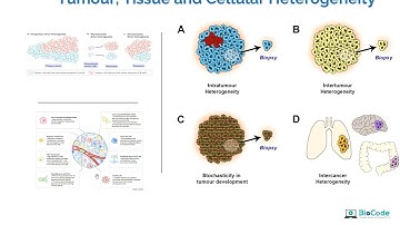 Bulk RNA-Seq Vs Single-Cell RNA-Seq | BioCode: Learn Bioinformatics
