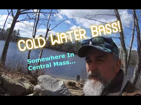 COLD WATER BASS
