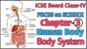 Digestive System & Excretory System-( ICSE Board Class-IV )