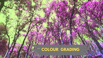 Colour Grading In VN | VN Video Editing