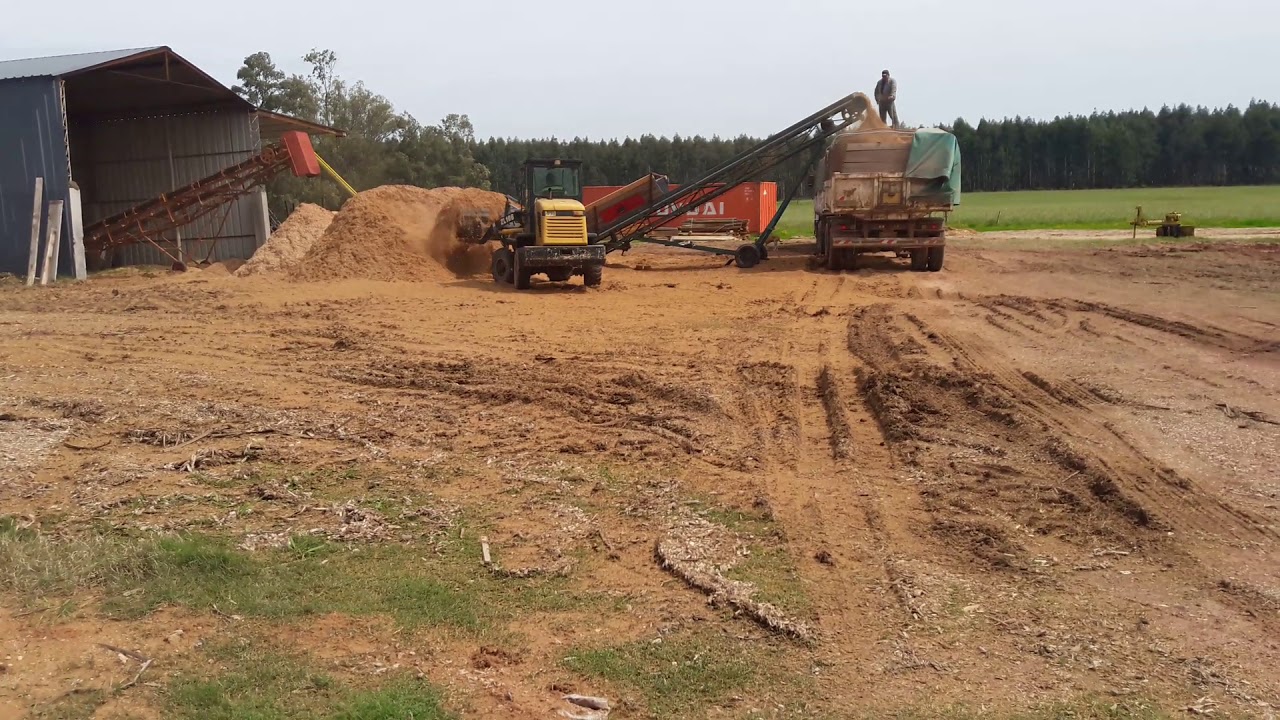 Cargando Chip Fino para Ganado YouTube