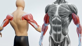 Секрет сильных рук: Лучшая домашняя тренировка!