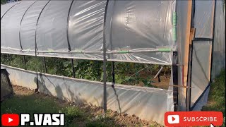 Solar de grădină 8x3 m modificat