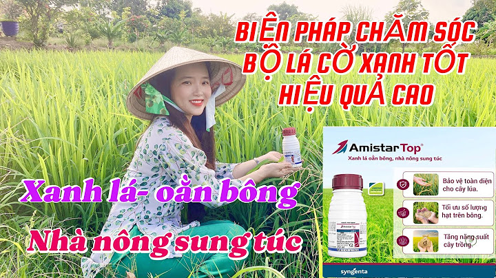 Hướng dẫn sử dụng thuốc bvtv amistar top 325sc 10ml năm 2024