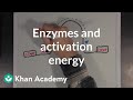 Enzymes and activation energy | Biomolecules | MCAT | Khan Academy