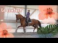 Comment avoir le bon contact  cheval