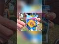 Planting Flowers and Raising Children!_OpusClip Reframe #shorts