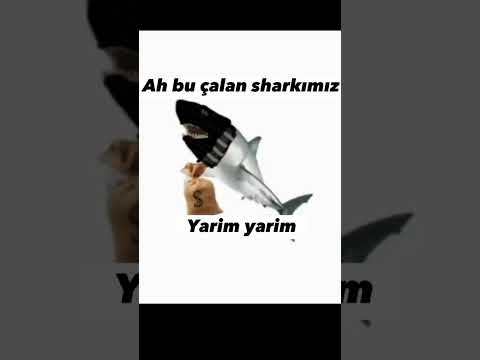 Ah bu çalan sharkımız yarim yarim #keşfet #video #komik