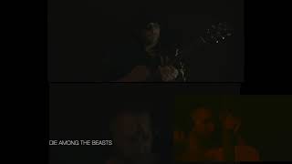 Snake Pit Poetry Cover (Einar Selvik)- Feat. Matthew Serra