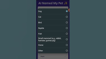 Generate the Perfect Pet Name with AI Named My Pet | AI Named My Pet Demo