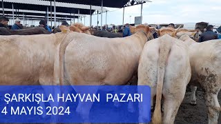 ŞARKIŞLA HAYVAN PAZARI BÜYÜKBAŞ BÖLÜM 1/ 4 MAYIS 2024