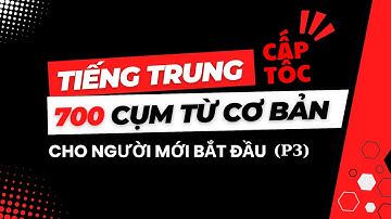 TIẾNG TRUNG CẤP TỐC - 700 CỤM TỪ CƠ BẢN CHO NGƯỜI MỚI BẮT ĐẦU P3