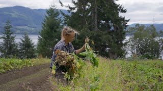 Off-grid island farming (BC Farmers' Market Trail Stories, Haida Gwaii BC)
