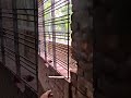 জানালা গ্রিল লাগানো পদ্ধতি বিস্তারিত
