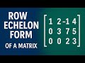 Row Echelon Form And Rank of The Matrix