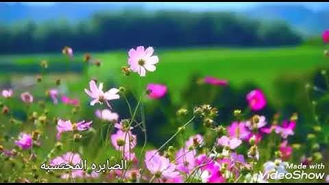 تلاوة رائعه ما تيسر من سورة الزمر /فارس عباد🌿🌿