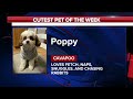 Cutest POTW