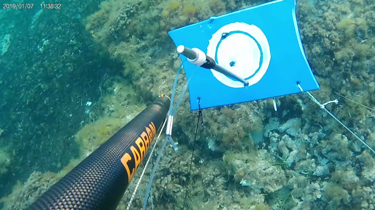 Prove di tiro oleopneumatico carbon 130