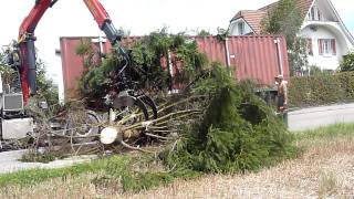 Wenn Tannen fliegen lernen - Unwetterschäden 12.&13.7. 2011 Zofingen -Teil 2 -