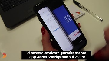 APP XEROX WORKPLACE