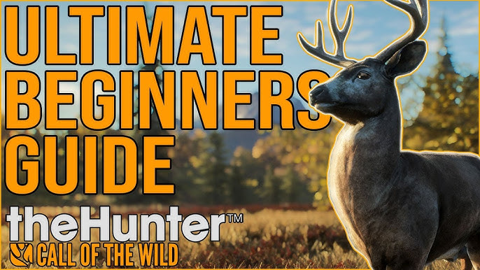 Best Hunting Game in Way of the Hunter Xbox Series X Gameplay Livestream 