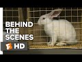 Us Behind the Scenes - Easter Motif